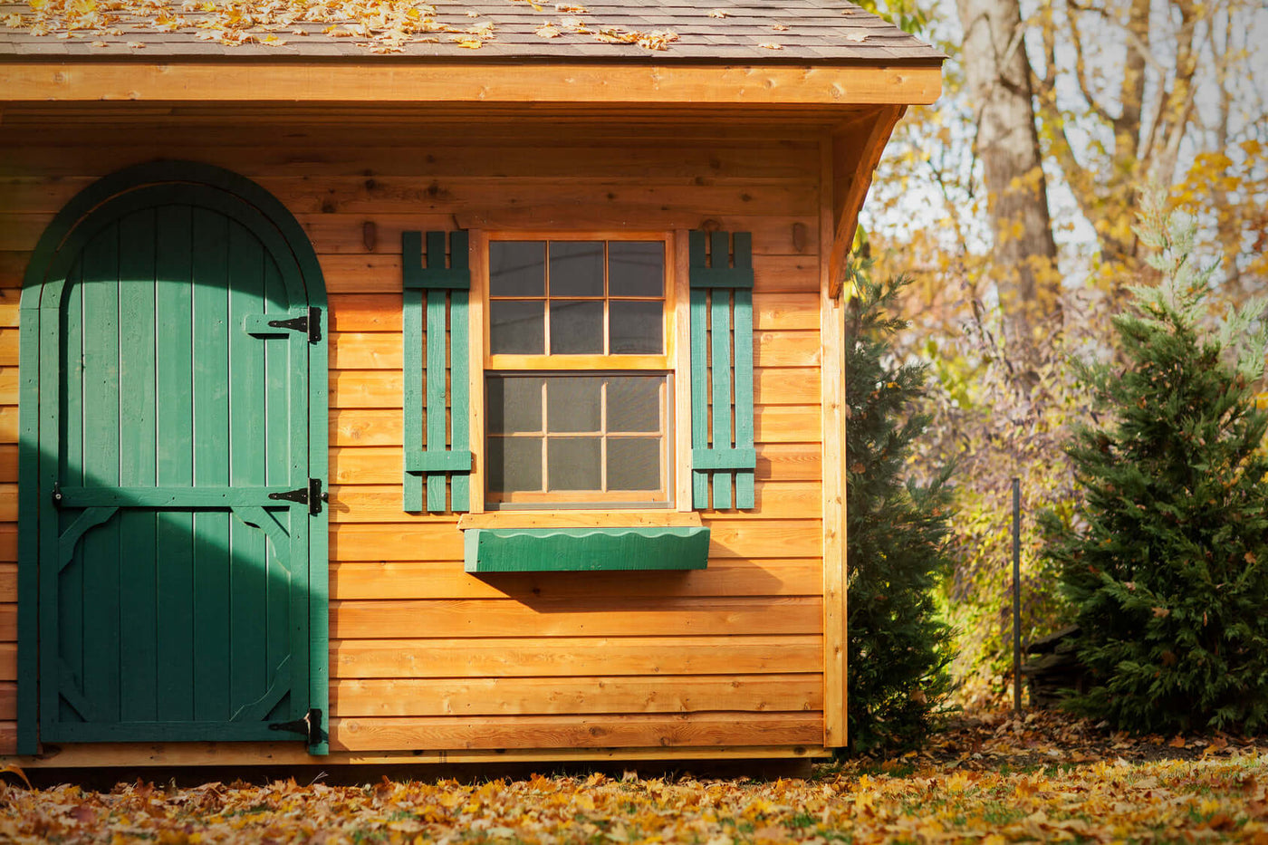 Garden shed in sunlight