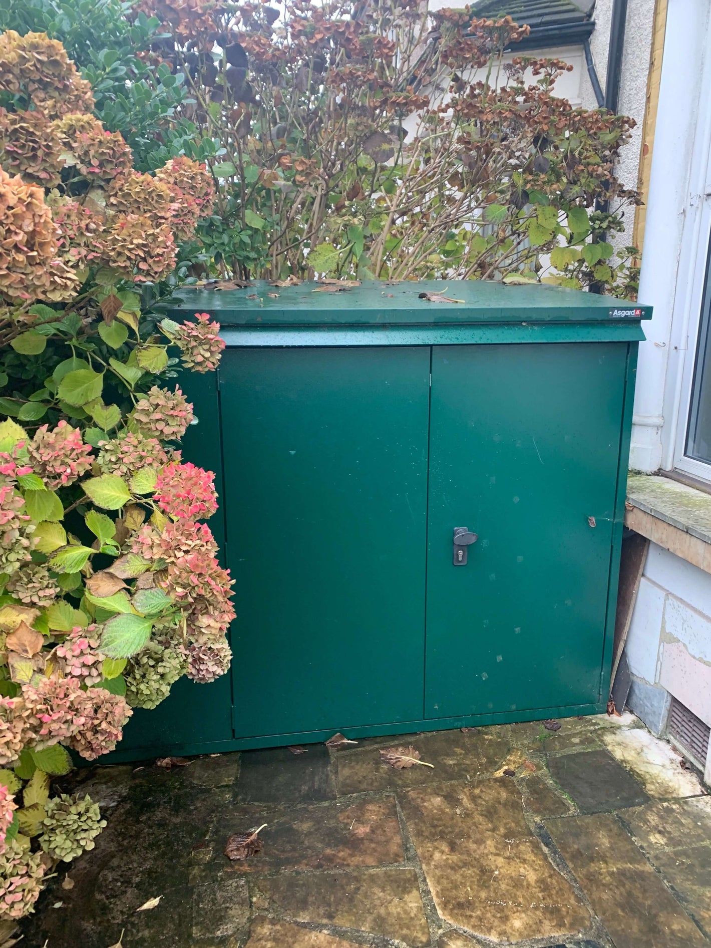 Asgard Green Bike Shed in Front Garden